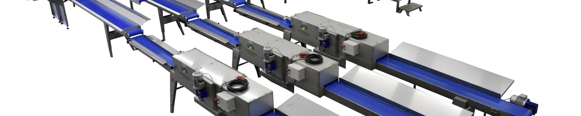 High Effective Capacity for Green Asparagus Processing in Africa