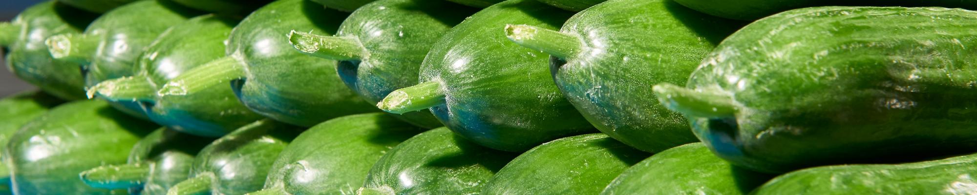 (Mini) Cucumbers