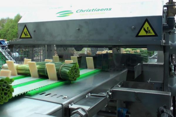 Cutting bundle after binding