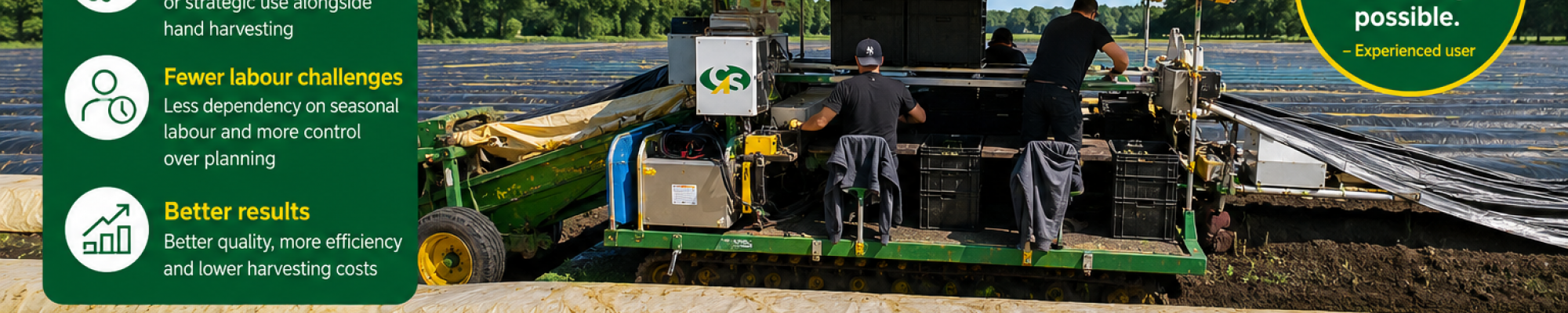 Mechanical asparagus harvesting: FAQ and what have we learned in practice?