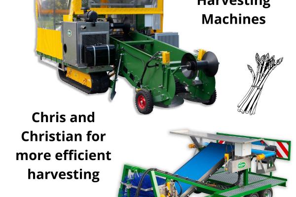 Labour saving mechanical harvest asparagus